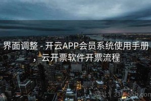 界面调整 - 开云APP会员系统使用手册，云开票软件开票流程