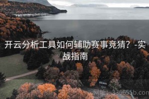 开云分析工具如何辅助赛事竞猜？-实战指南