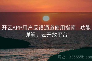 开云APP用户反馈通道使用指南 - 功能详解，云开放平台