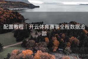 配置教程｜开云体育赛事全程数据追踪