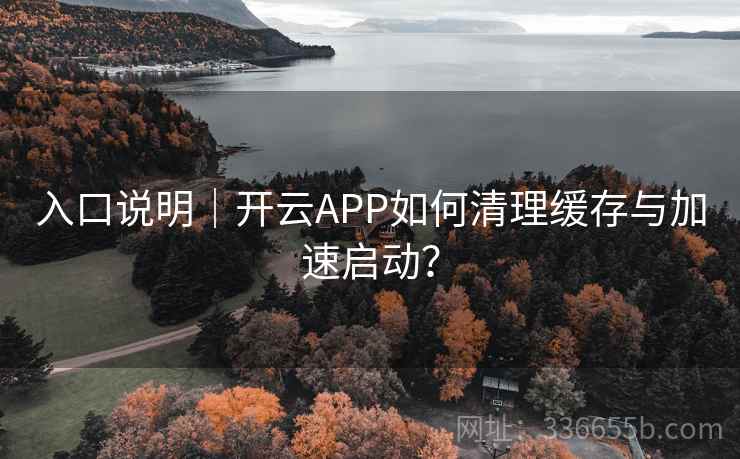 入口说明｜开云APP如何清理缓存与加速启动？