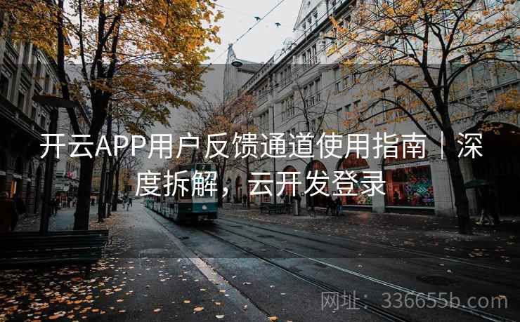 开云APP用户反馈通道使用指南｜深度拆解，云开发登录