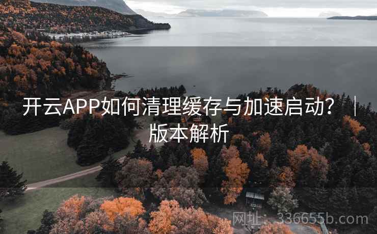 开云APP如何清理缓存与加速启动？｜版本解析