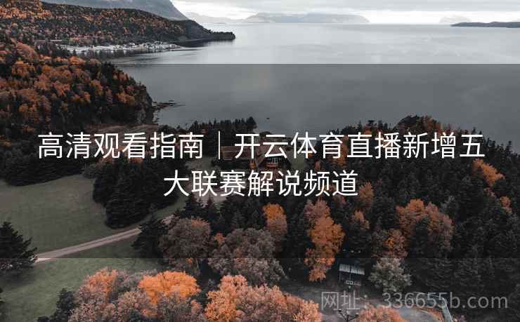 高清观看指南｜开云体育直播新增五大联赛解说频道