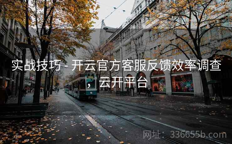 实战技巧 - 开云官方客服反馈效率调查，云开平台